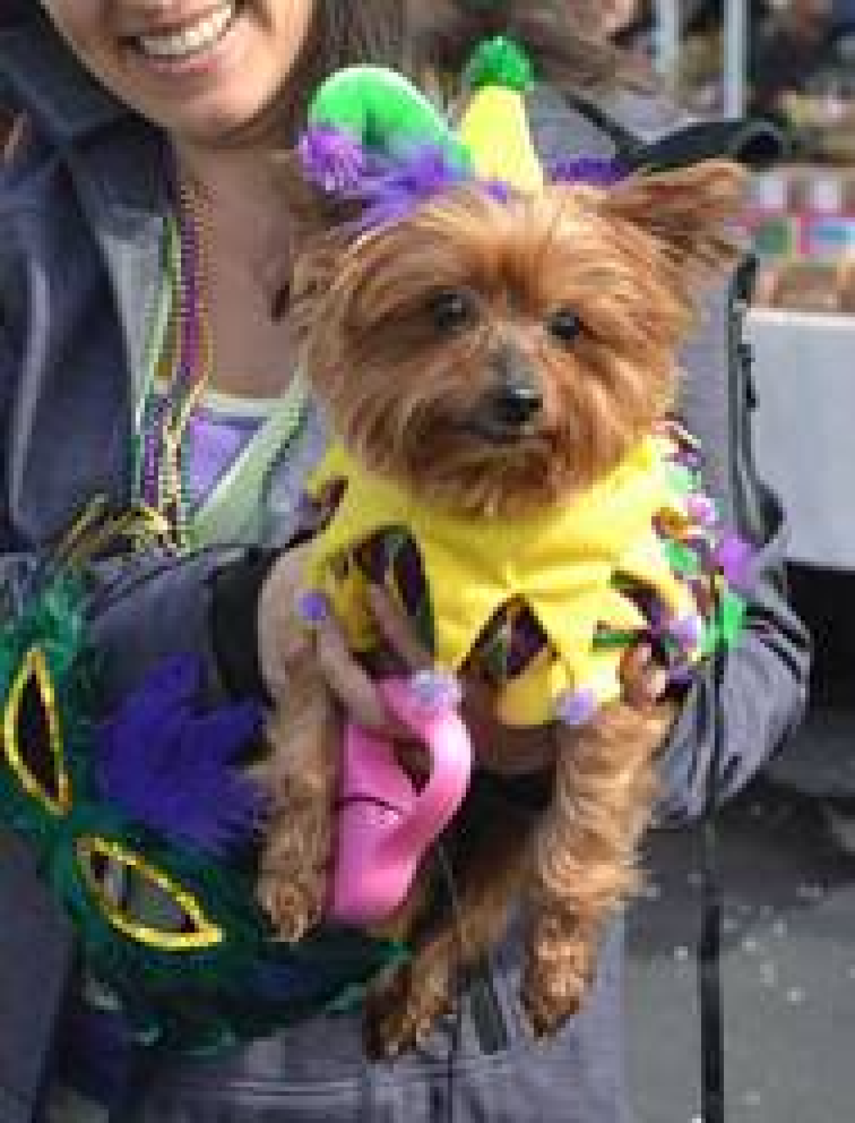 Helen Woodward Animal Center celebrates the Padres