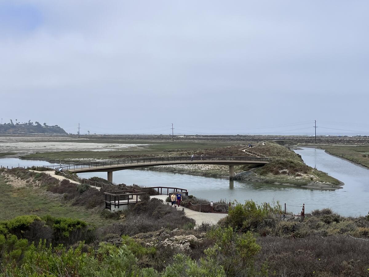 A view of the enhanced lagoon from the nature center.