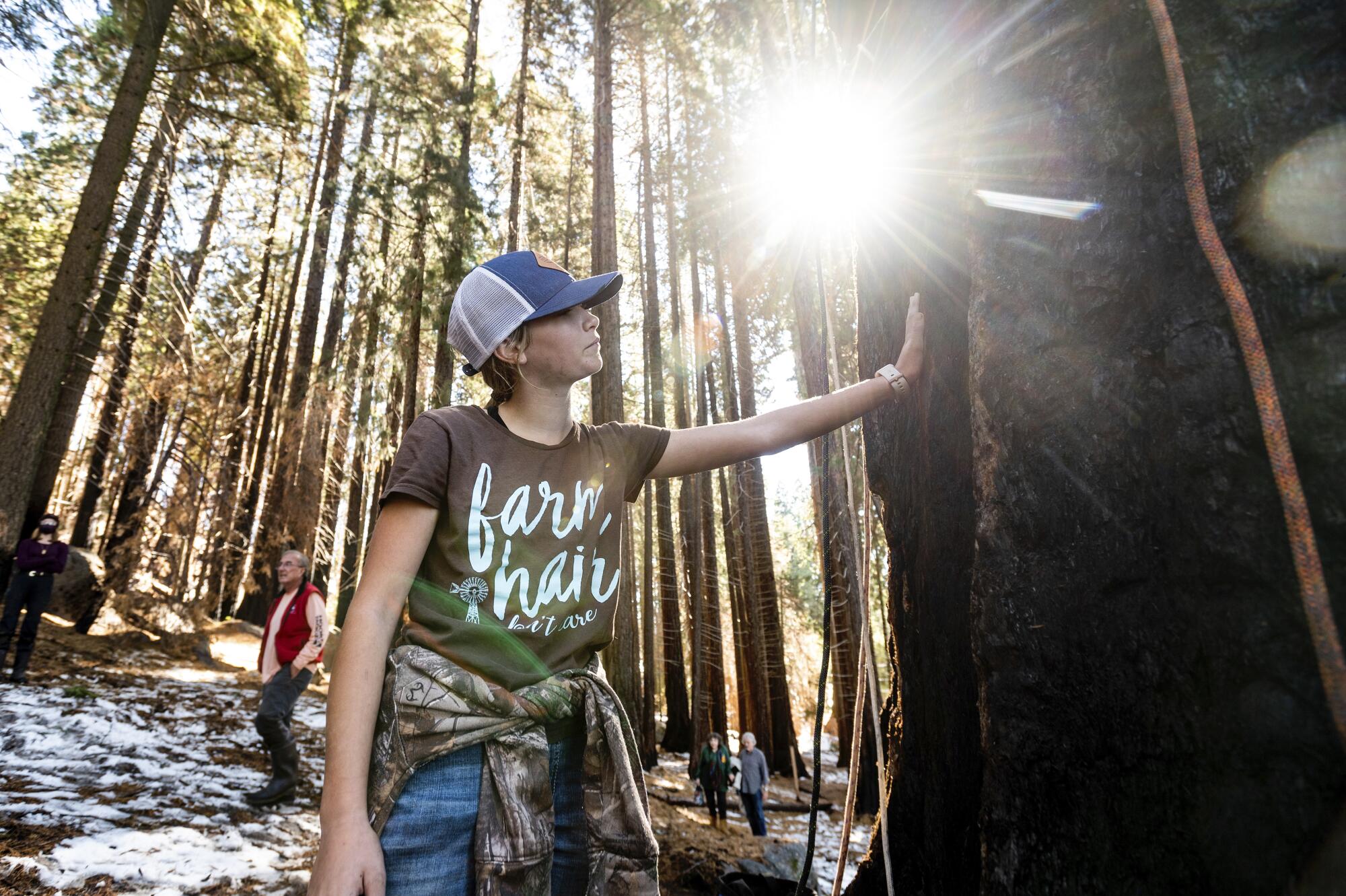 Ashtyn Perry touches a giant sequoia with her left hand