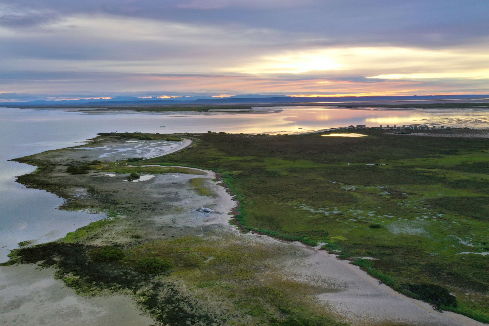 Lagoon San Ignacio is part of El Vizcaino Biosphere Reserve, Latin America’s largest wildlife sanctuary established in 1988. 