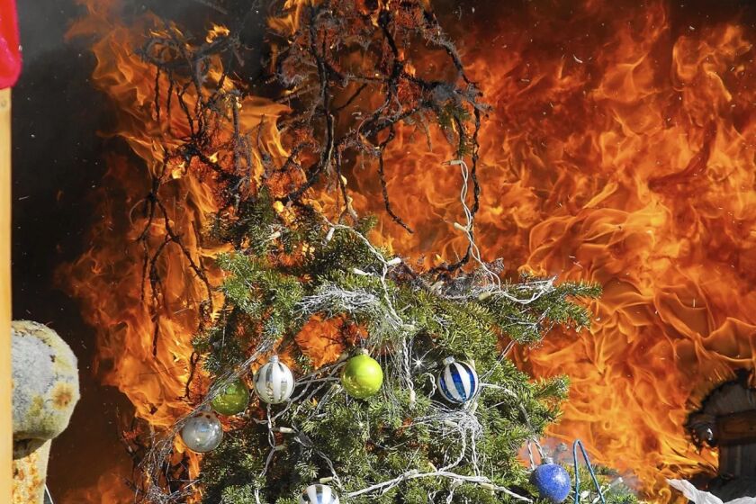 A Christmas tree is engulfed in flames during a fire safety demonstration.