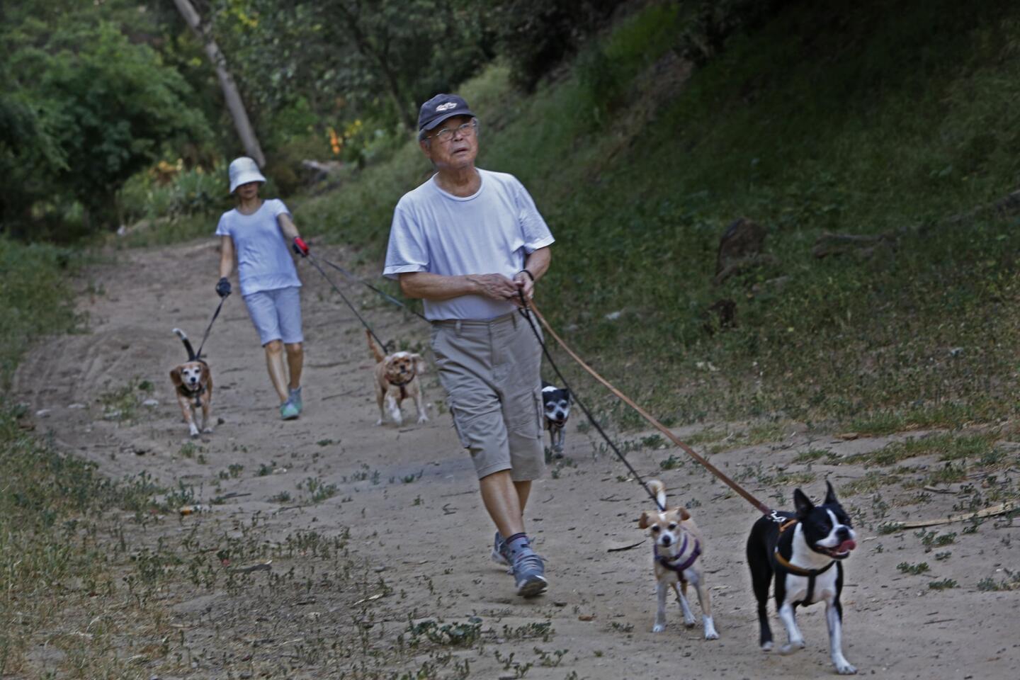 Kyuhwan Sohn, right, walks with his daughter Iha Sohn with their dogs on a trail through the Corralitas Red Car parcel.