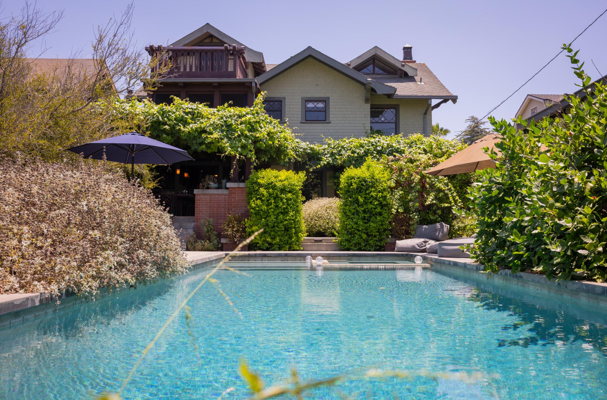 A view of a backyard with a large pool and lots of plants.