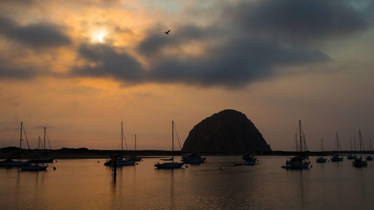 Explore the city and back country of Morro Bay on two wheels with a new bike map of a city known for its ocean views. It's free.