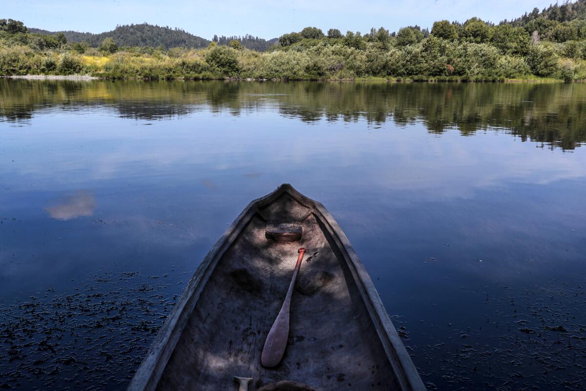 A Yurok redwood canoe sits empty on the Klamath River. The canoe, paddles and stools are all hand- crafted. 
