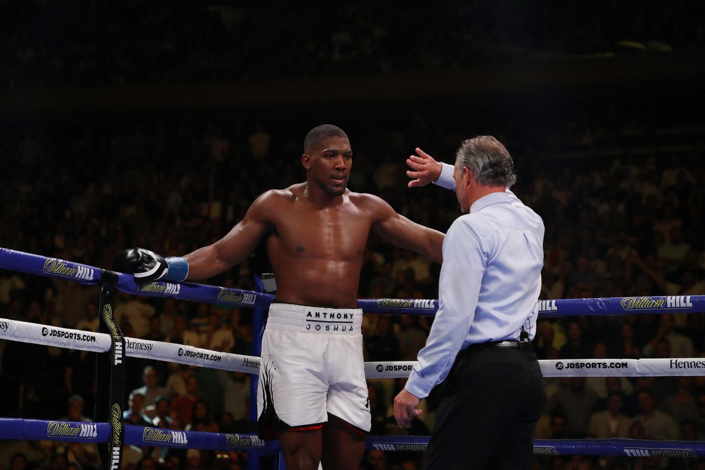 Anthony Joshua v Andy Ruiz Jr.