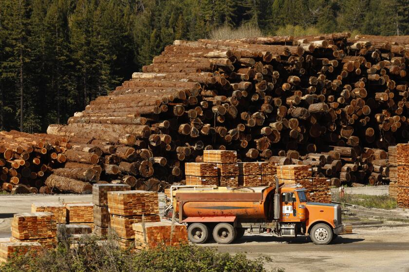 SCOTIA, CA - APRIL 16: In Scotia, California, the Humbolt Redwood Company sawmill is not operating due to the coronavirus, but logging is still happening and trees are piling up in Scotia. Scotia on Thursday, April 16, 2020 in Scotia, CA. (Carolyn Cole / Los Angeles Times)