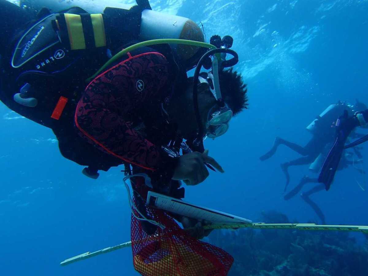 Ayana Omilade Flewellen dives at the site of the Hannah M. Bell shipwreck