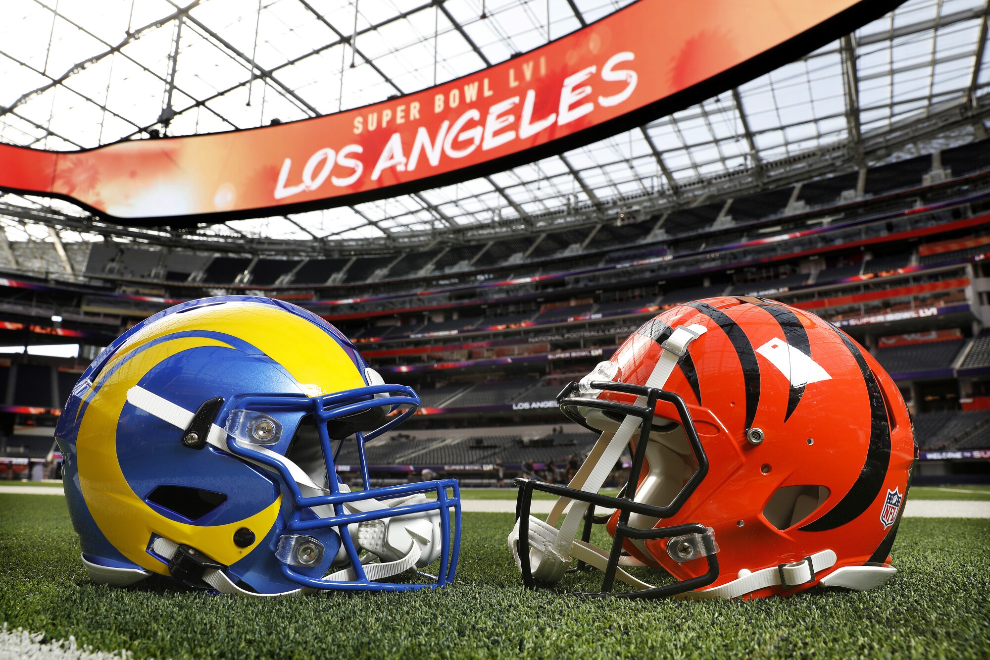 bengals and the rams
