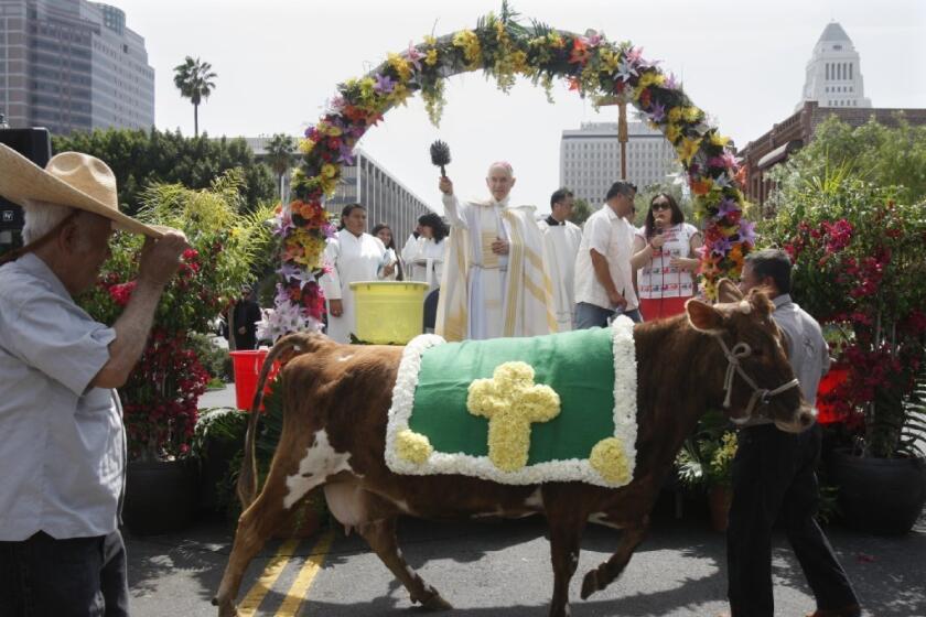 Archbishop Jose H. Gomez of Los Angeles blesses a cow during the blessing of the animals at the Plaza on Olvera Street in 2014.