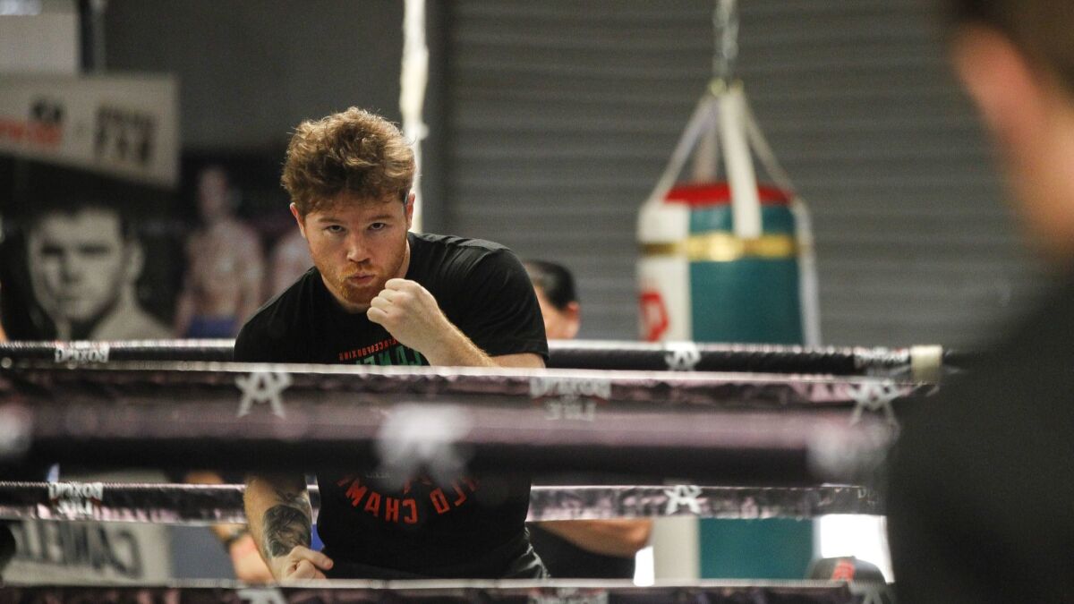 Canelo Alvarez shadow-boxes in a mirror during his workout at his training facility.