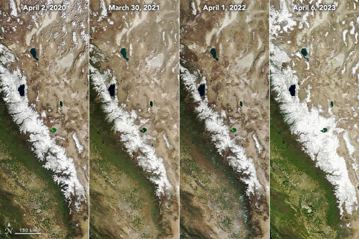 Four side-by-side images show end of winter snowpack levels in the Sierra Nevada mountain range from 2020 through 2023.