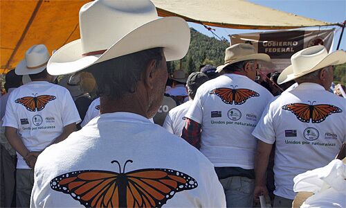 Villagers in charge of protecting the butterflies gather for a meeting at the Monarch Butterfly Biosphere Reserve near the town of Chincua, Mexico. The monarchs are not endangered, but scientists say deforestation could threaten their existence.