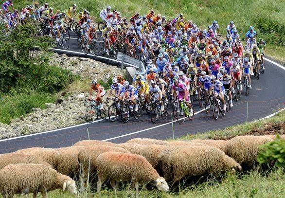 Cyclists, Tour of Italy