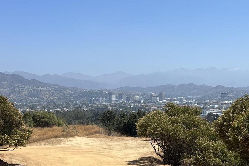 A view of Los Angeles from Griffith Park.