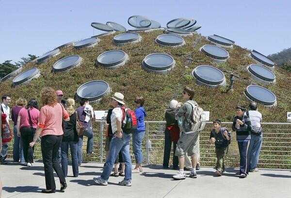 Opened 2008. Aquarium, planetarium, rain forest, undulating green roofscape — this building in Golden Gate Park has them all. Adult admission, $29.95. As a bonus for lovers of art and panoramic views, there's the De Young Museum (opened 2005) across the road. Yes, it looks like a rusting hunk of scrap metal, but head for the free observation tower and you won't be disappointed. Info: (415) 379-8000; http://www.calacademy.org; http://deyoung.famsf.org.