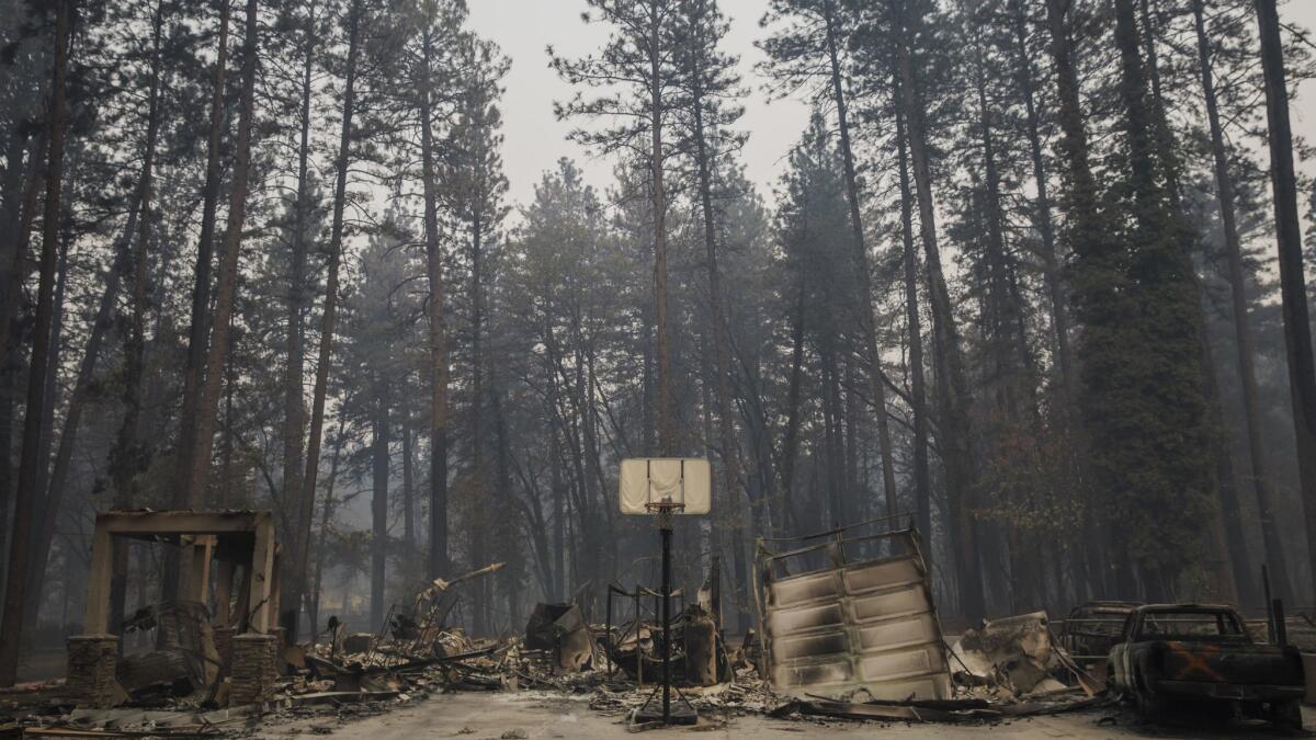 A destroyed home surrounded by forest in Paradise, Calif.
