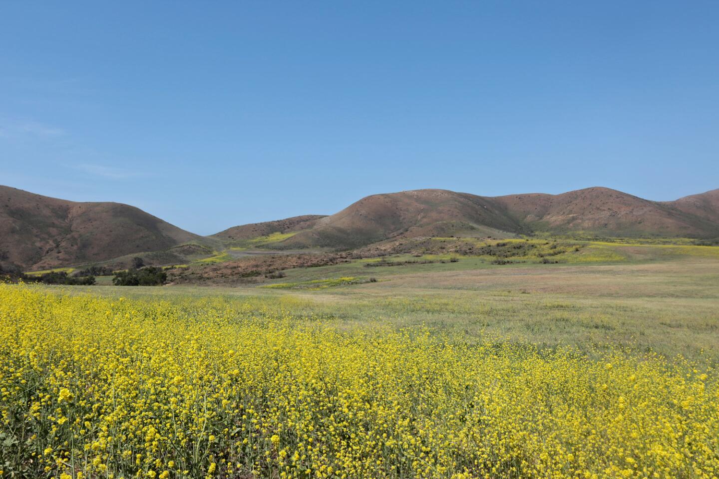 La Jolla Canyon