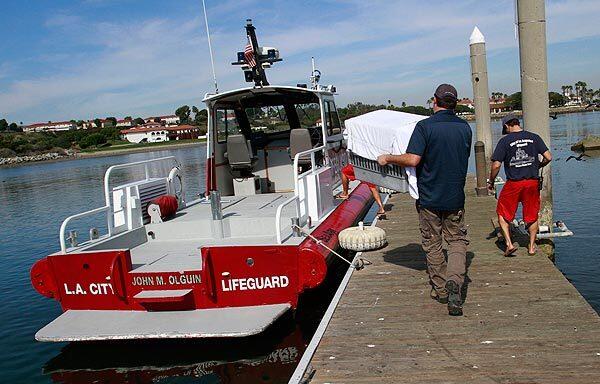 Adam Ribota, International Bird Rescuers Center facilities coordinator, carries a Laysan albatross to an Los Angeles City lifeguard boat for release back to the wild. The bird had made a mysterious visit to Los Angeles.