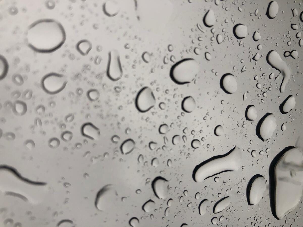 Rain