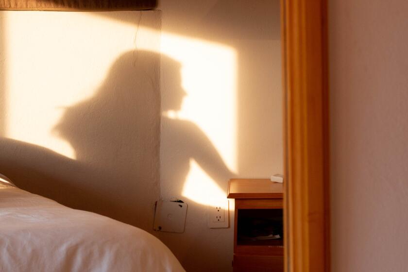 Shadow of Elena Cauduro at her house