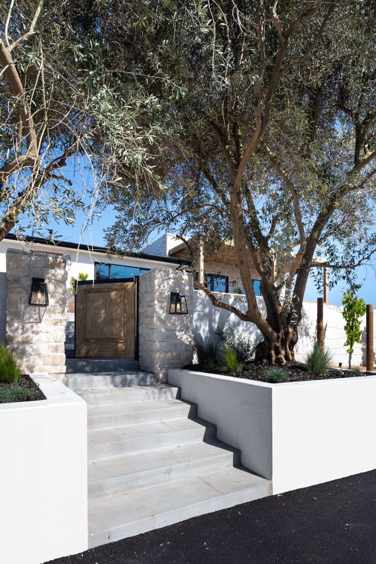 The olive trees flanking the front gate help define the entrance to the home. 