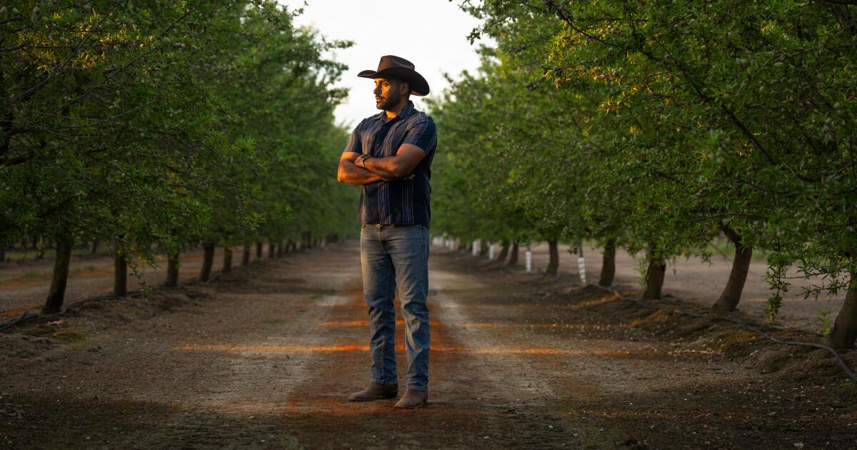 Les agriculteurs californiens sont en difficulté. Et puis vint la guerre en Iran