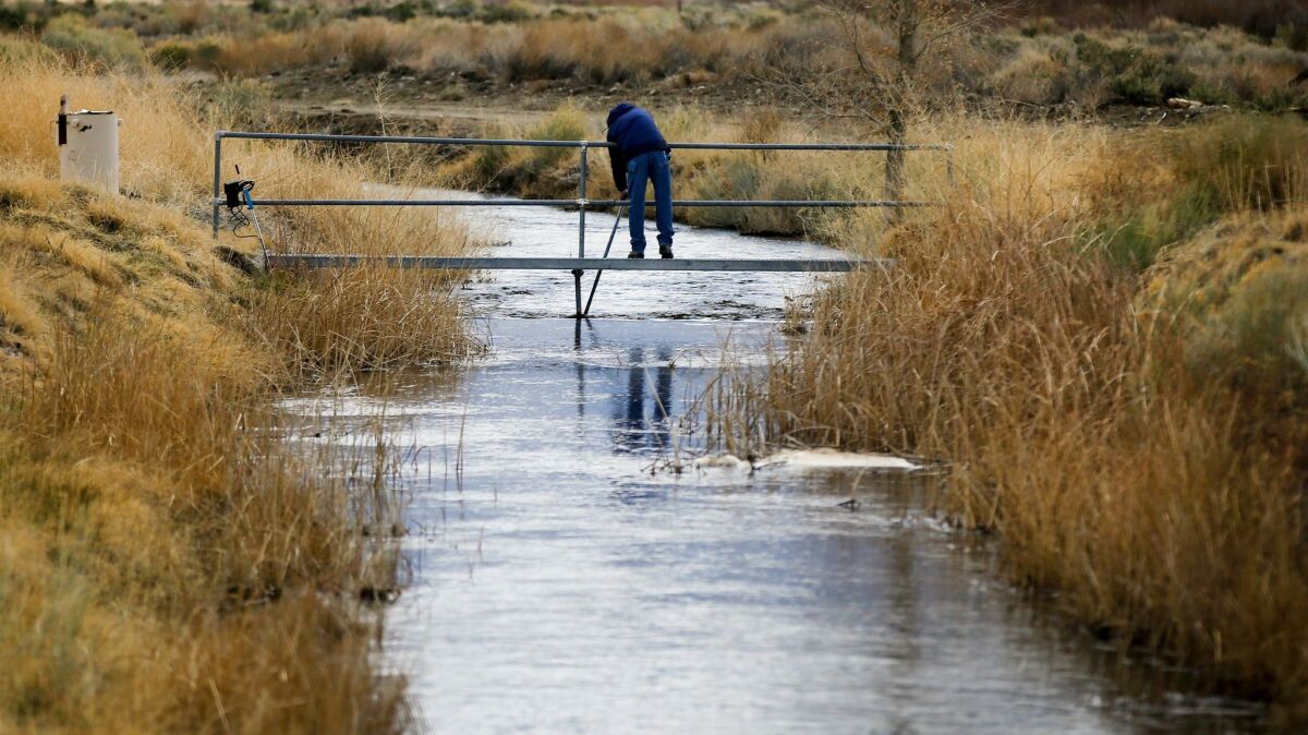 A government employee takes readings on a tributary of the Owens River near Bishop, Calif., in 2017.