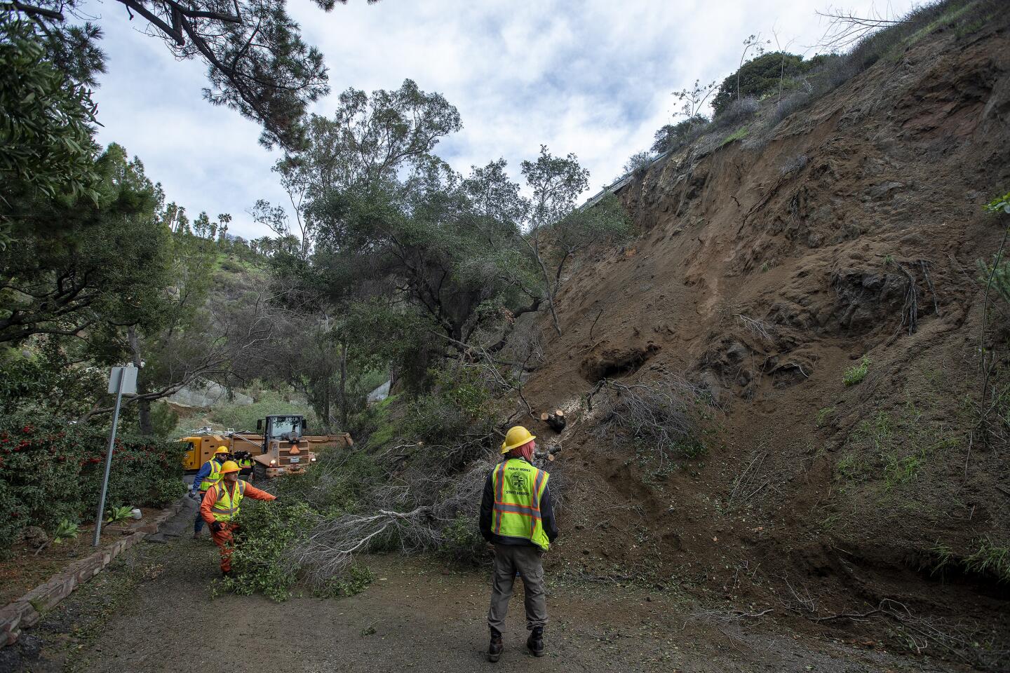 City of Los Angeles Bureau of Street Services workers remove branches from an oak tree that was destroyed due to a mudslide
