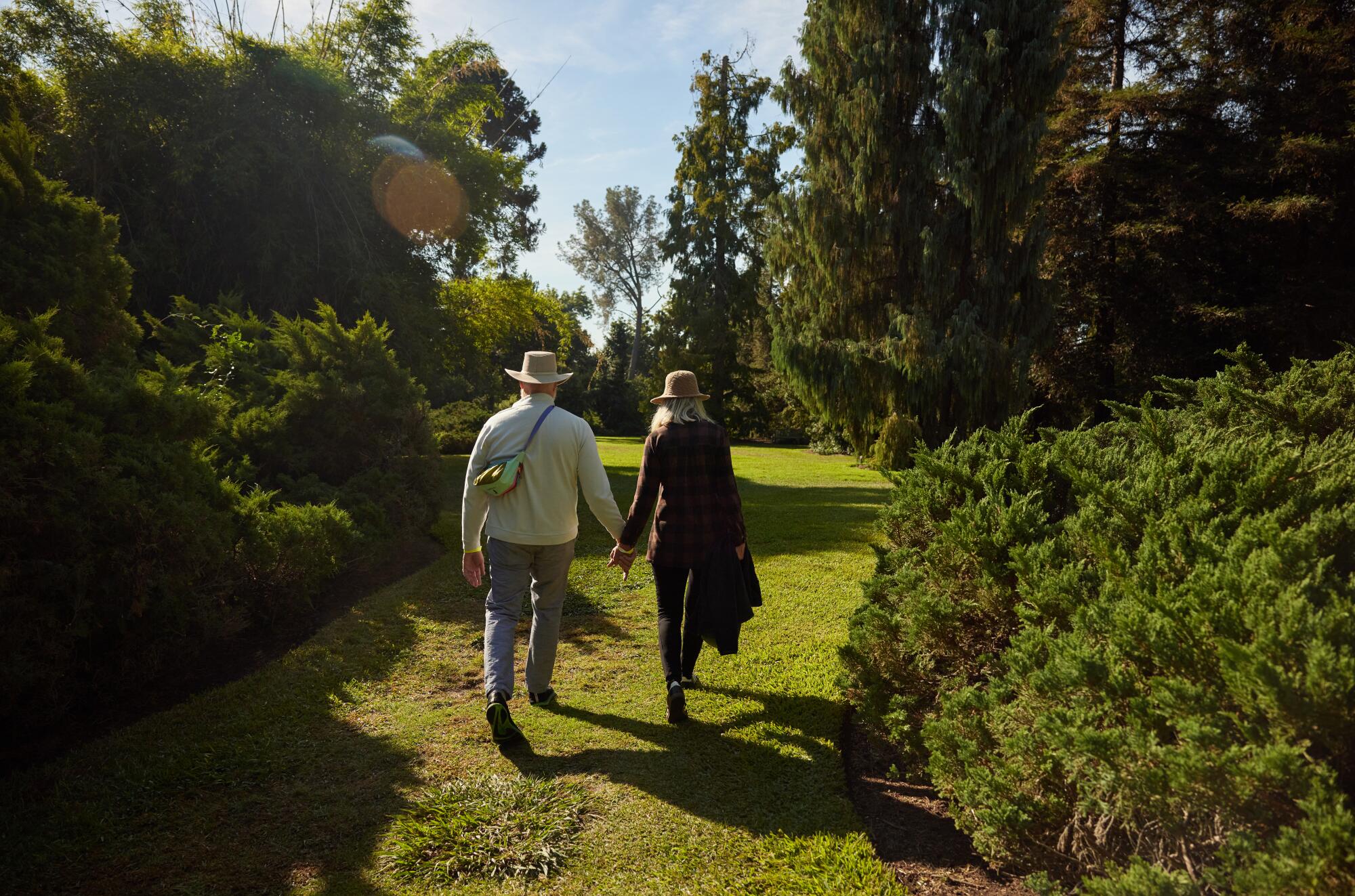 A couple, pictured from behind, walks hand in hand through a palm grove at the Huntington.