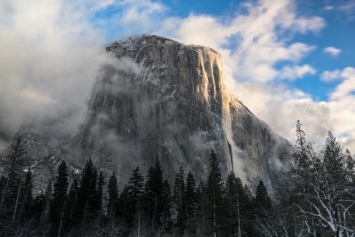 El Capitan rises above dark pine trees, amid some fog, with blue sky and white clouds in the background.