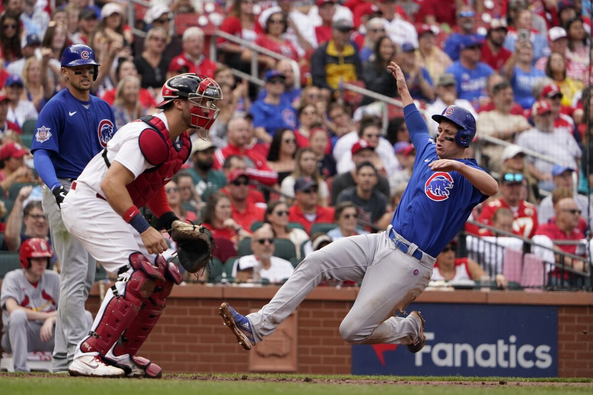 Chicago Cubs' Frank Schwindel, right, scores past St. Louis Cardinals catcher Andrew Knizner during the fifth inning of a baseball game Sunday, Oct. 3, 2021, in St. Louis. (AP Photo/Jeff Roberson)