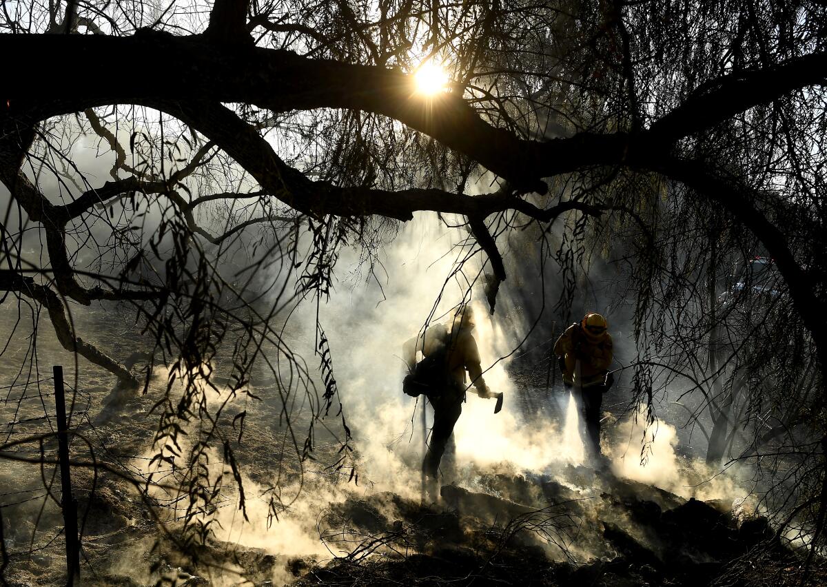 Firefighters extinguish hot spots  along Santiago Canyon Road in unincorporated Orange County.
