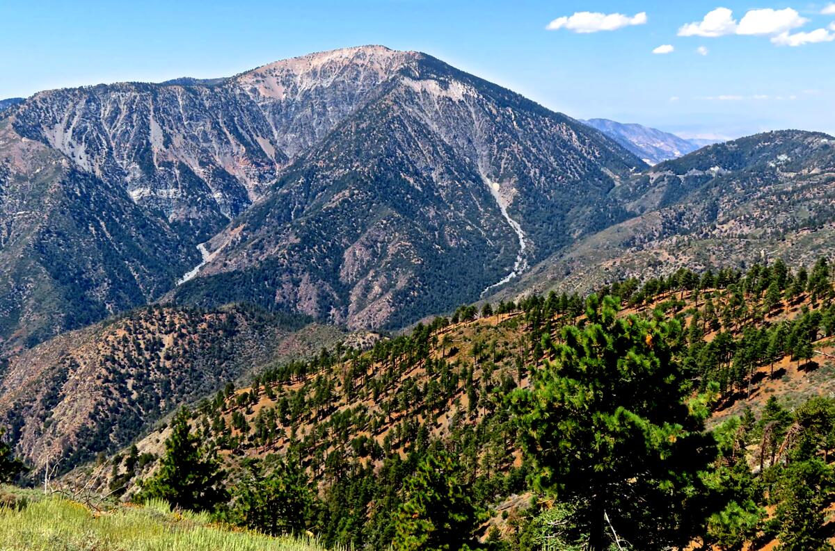 A canyon lies between two mountain peaks in a wilderness scene