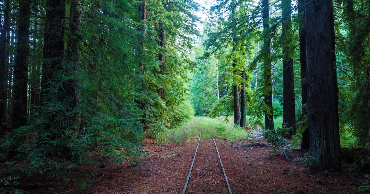 Eski Kuzey Kaliforniya demiryolu hattı 300 millik yürüyüş parkuruna dönüşebilir