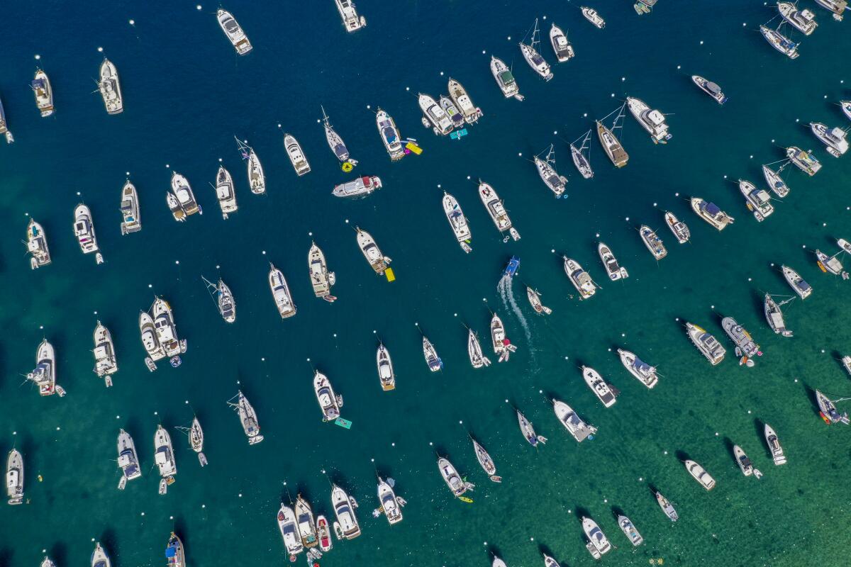 An aerial view of dozens of boats moored in the turquoise waters of Catalina Harbor.
