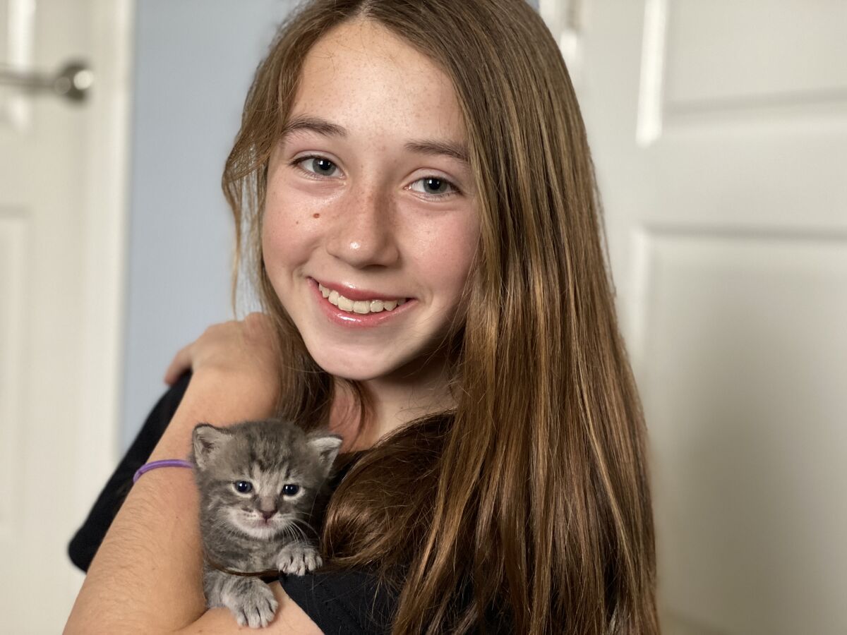 Ruthanne MacPete is fostering a litter of newborn kittens for the San Diego Humane Society during the COVID-19 closures. Here, her 13-year-old daughter Siena holds oneof the kittens.