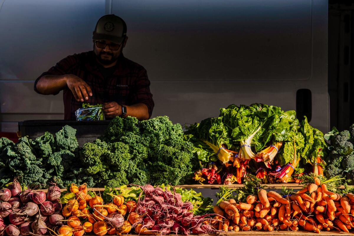 People eat corn on the cob outdoors under strings of lights at the weekly Downtown SLO Farmers' Market