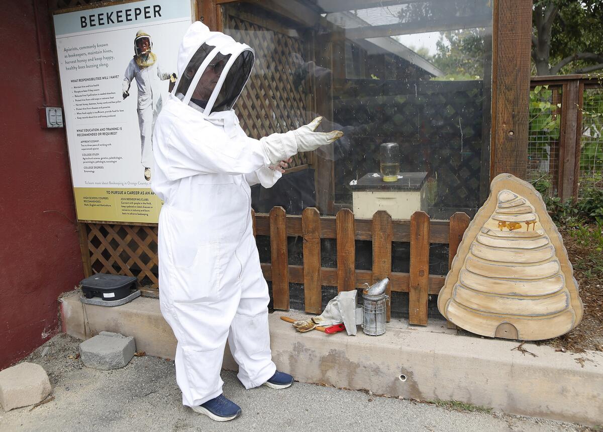 Corrine Powell of the Orange County Beekeepers Assn. prepares to enter a beehive Wednesday at the O.C. fairgrounds.