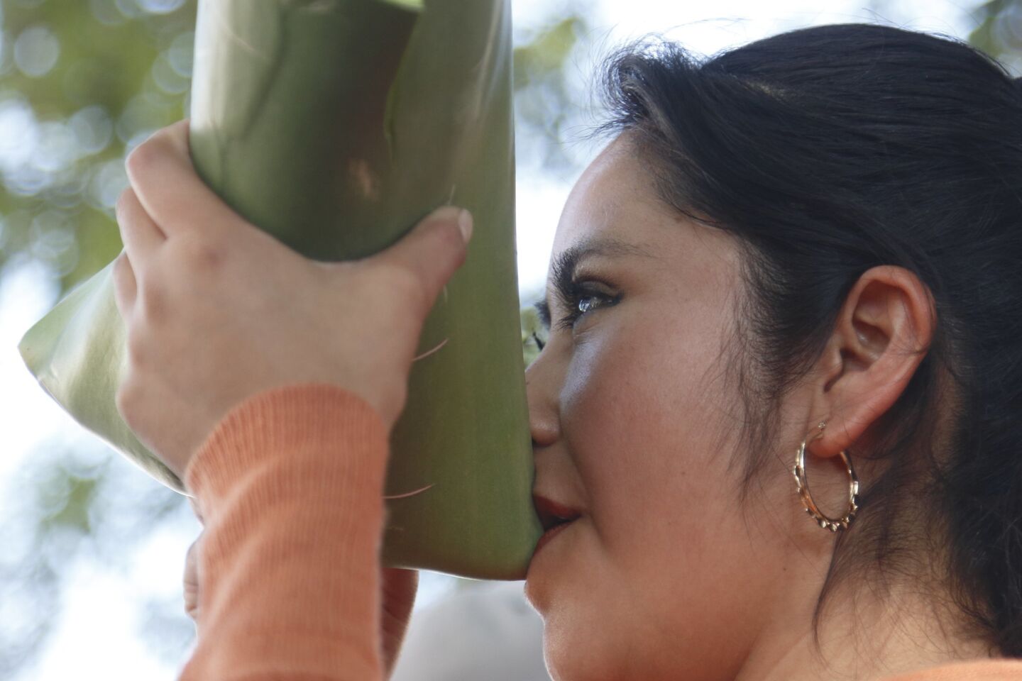 Una mujer bebe pulque en una penca de maguey, en la celebración de la Tlahuanca, fiesta de la embriaguez o "borrachera espiritual". Este preparado milenario que se elabora a partir de la fermentación del maguey.