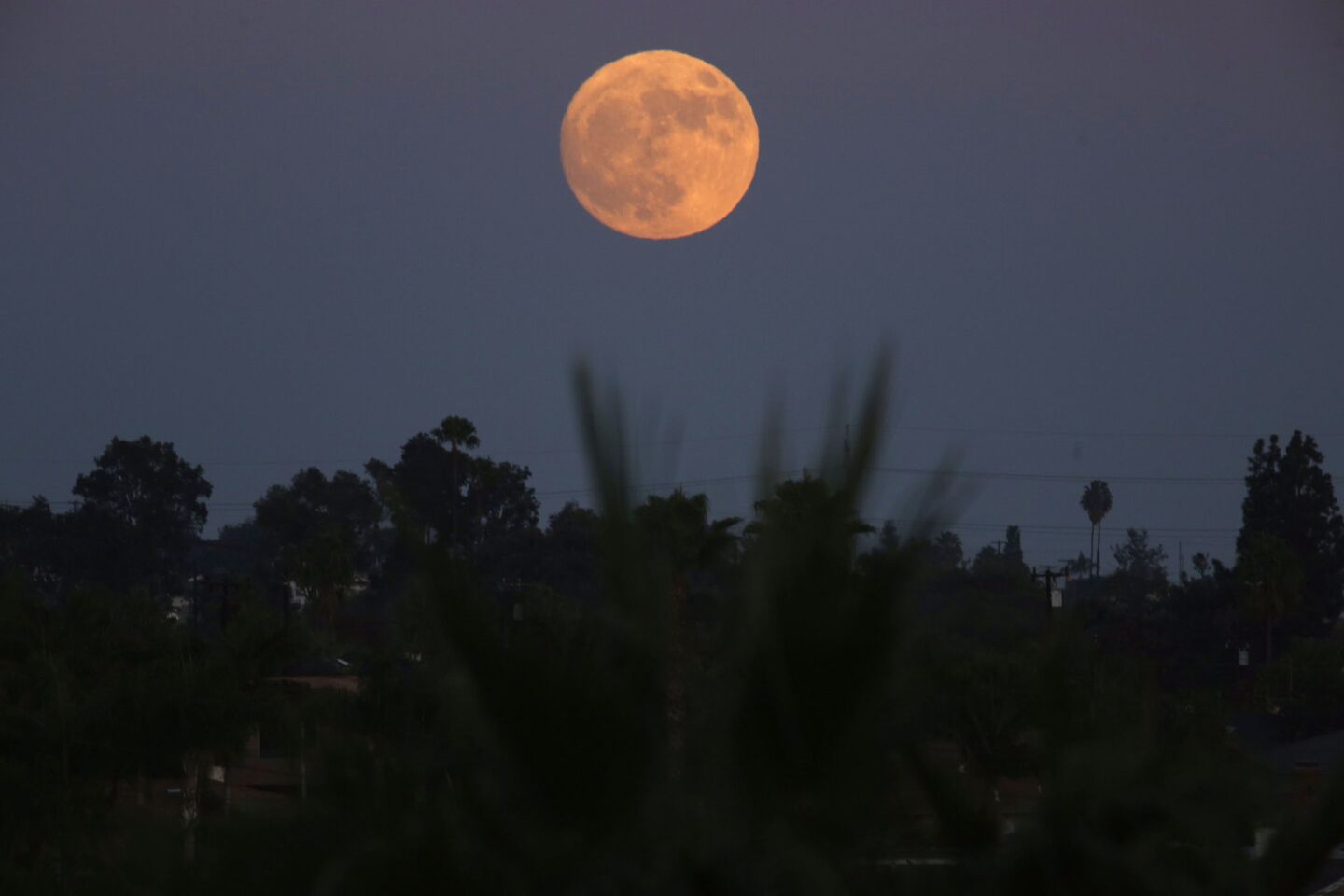 An extra-super super moon rises over El Segundo early Sunday evening. Tonight’s full moon appears bigger and brighter in the night sky than it has in nearly 70 years.