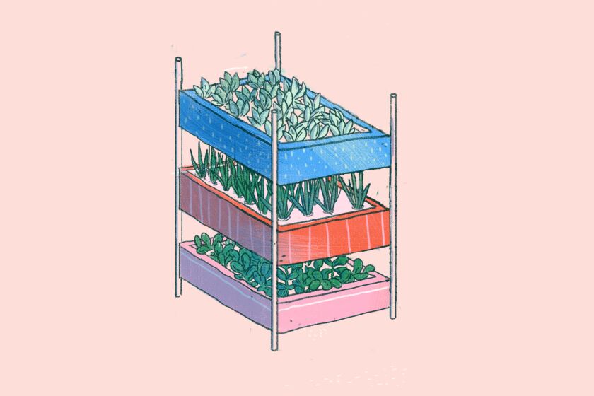 Illustration of hydroponic grow system