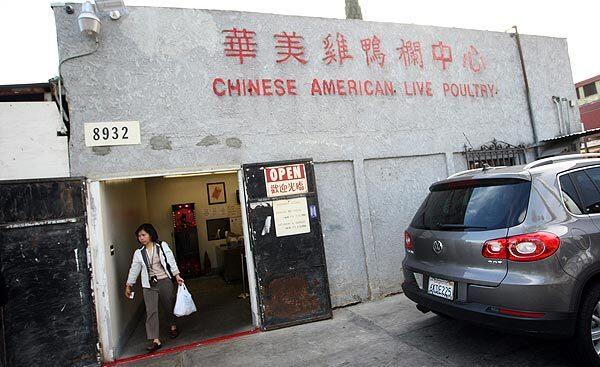 A customer leaves Chinese American Live Poultry in Rosemead, one of the last slaughterhouses in Los Angeles County. The diverse clientele -- largely Asian and Latino immigrants -- prize the freshly plucked, head-intact birds that are often used in prayer as well as in dinner.