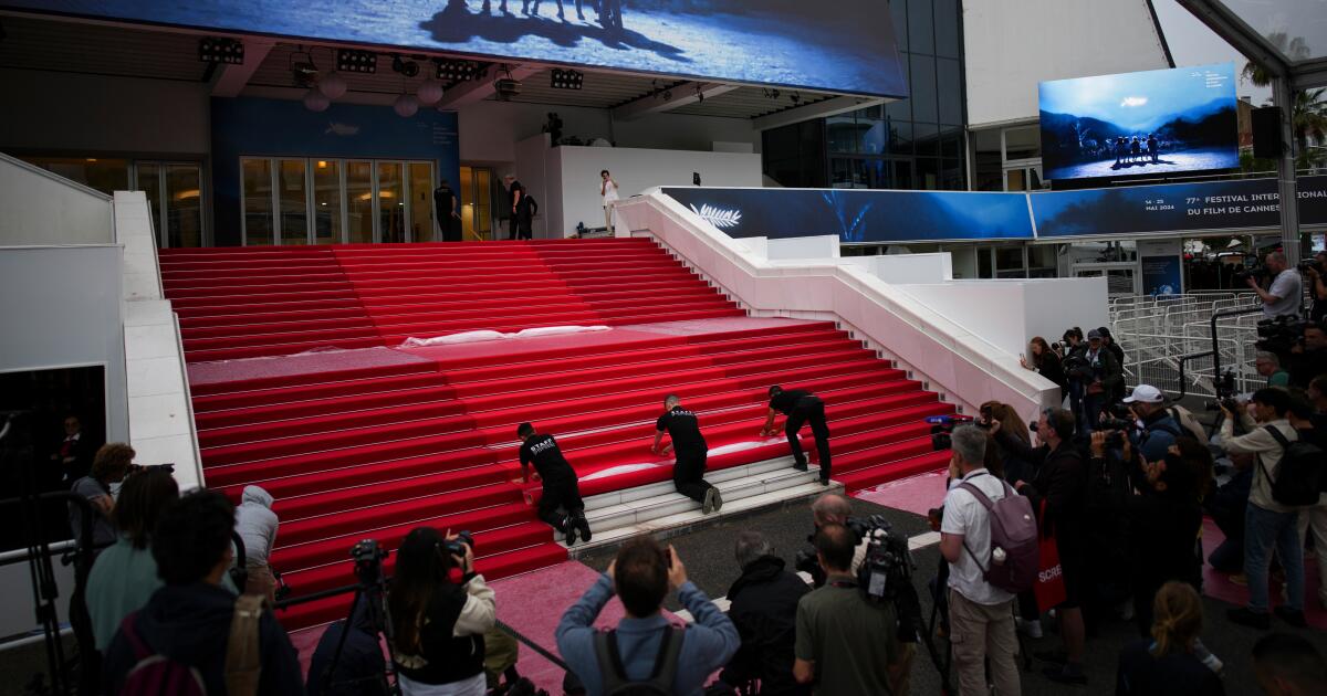 Cannes festival reportedly sued by model who alleges assault by guard on red carpet