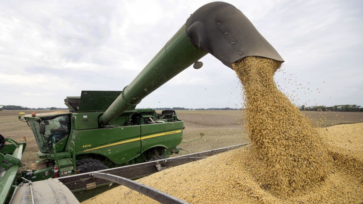 Soybeans being offloaded from a combine during the harvest in Brownsburg, Ind. A closely watched foreign trade report from the Census Bureau that sheds light on exports of soybeans, crude oil, automobiles and other goods may not be released on Jan. 8..