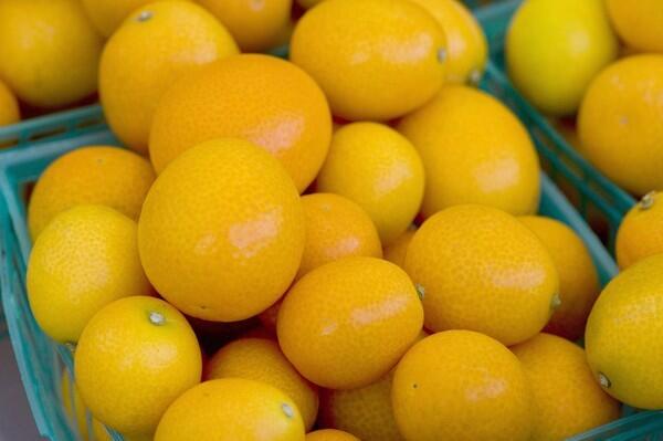 Meiwa kumquats
