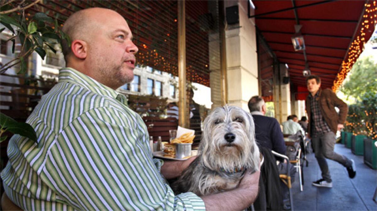 NEW TO THE SYSTEM: Curry Mendes, new to L.A. from New York, has lunch alfresco with his dog, Elizabeth.