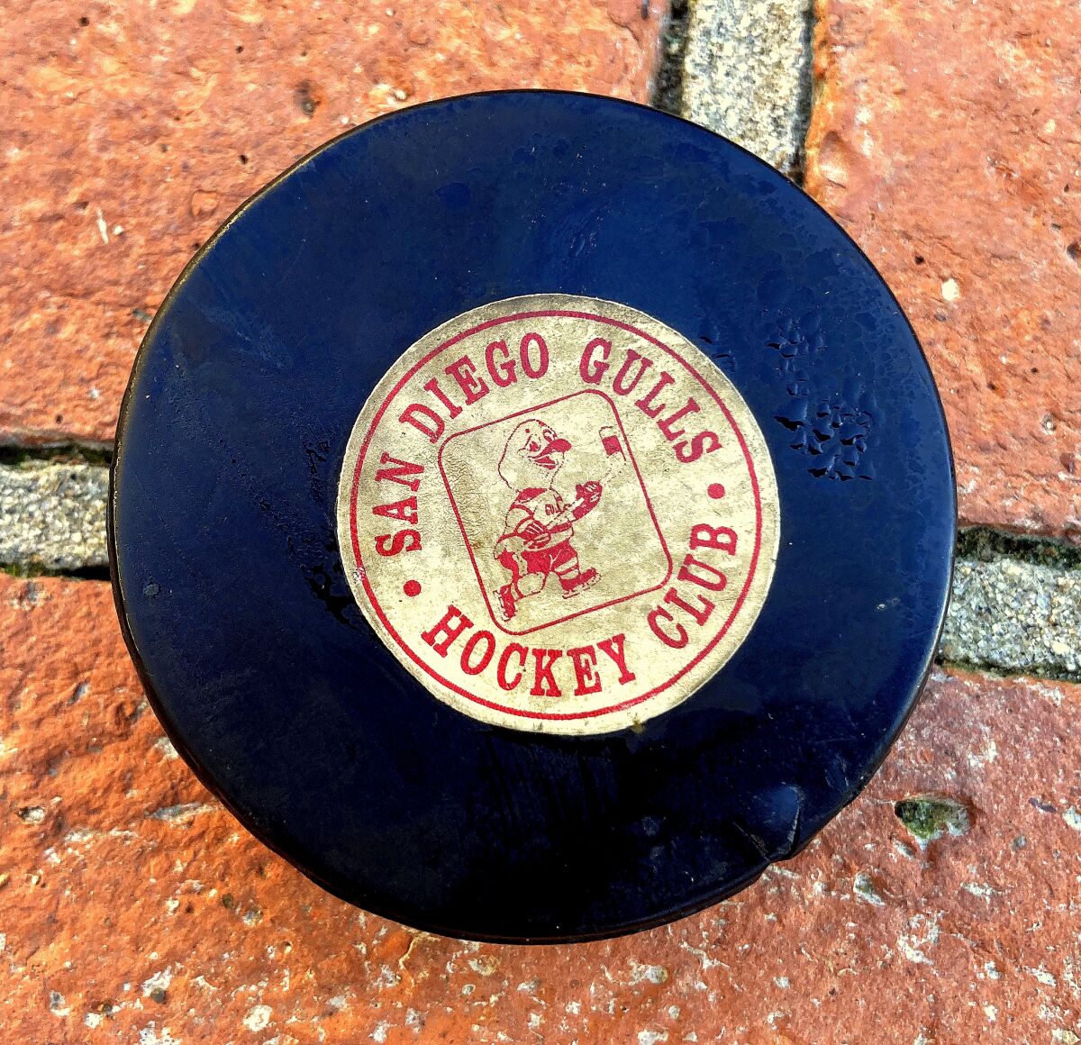 This San Diego Gulls puck ended up in the lap — and freezer — of young Gulls fan Eric DuVall.