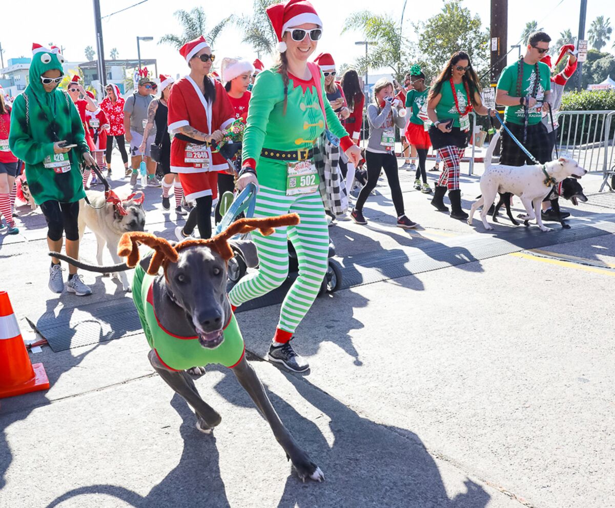 The 1-mile Santa’s Little Helper run/walk is for dogs (often decked out in holiday attire) and their owners.