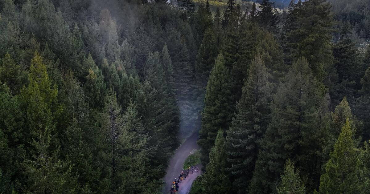 California’s bill moves from logging to tribal cooperative management California’s bill moves from logging to tribal cooperative management